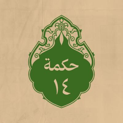 الحكمة 14